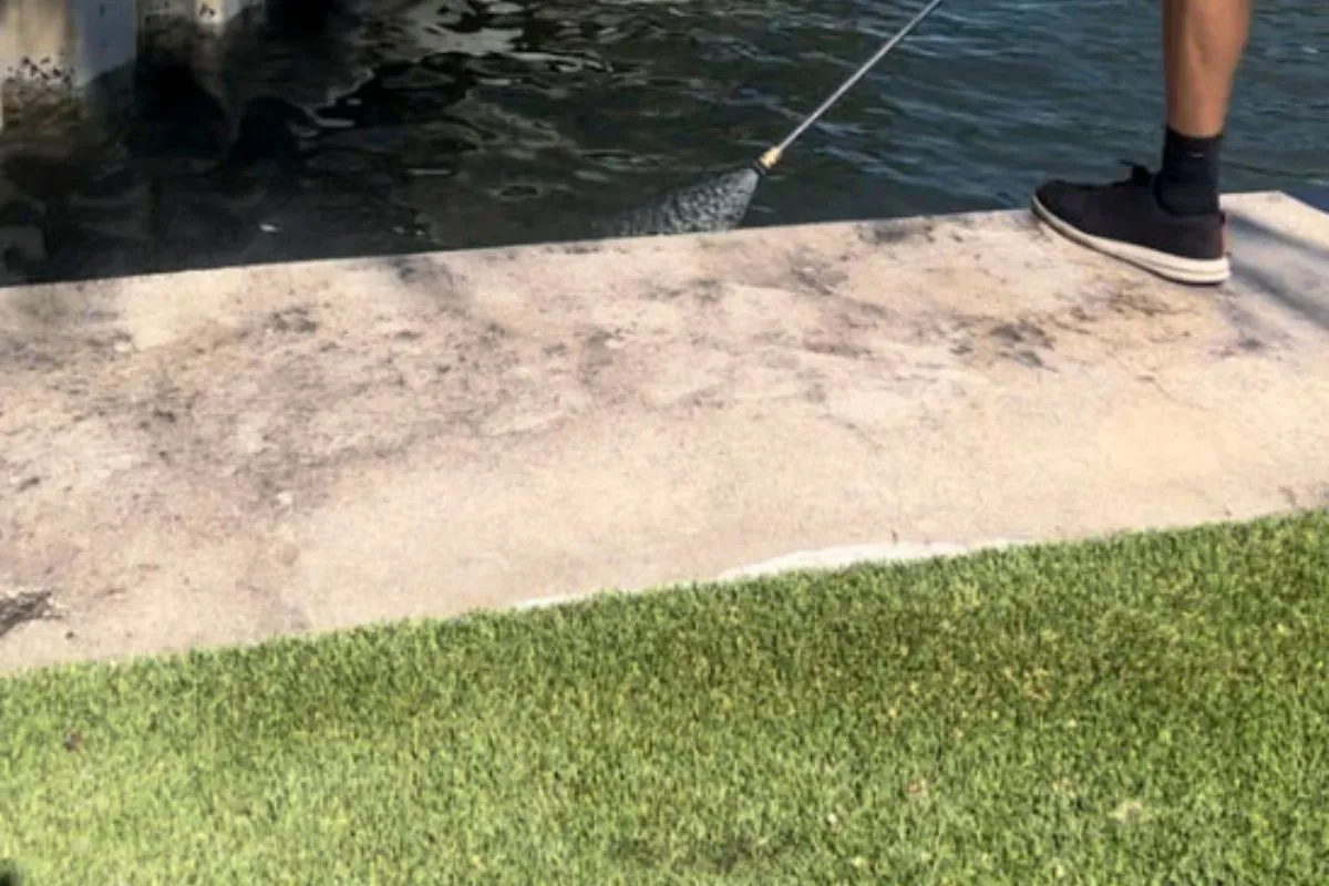 Pool Deck Cleaning - Before