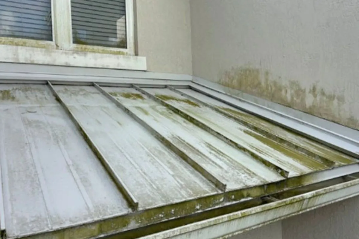 Roof Soft Wash - Before